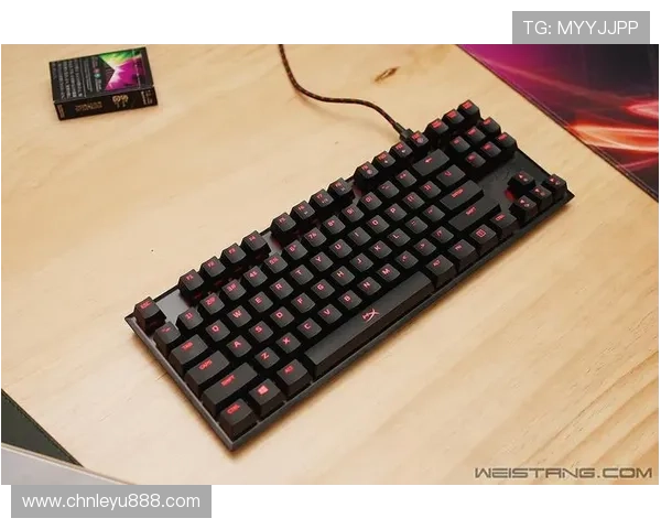 乐鱼电竞专业版怎么下载后遇到问题怎么办详细解决方案